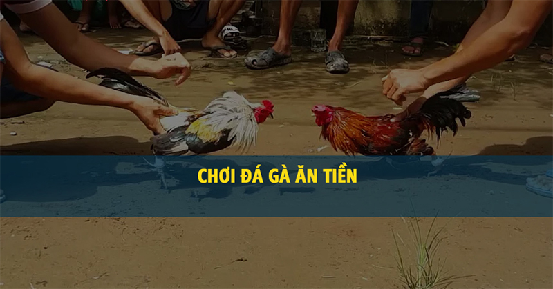 Giá trị nổi bật về trang đá gà ăn tiền uy tín