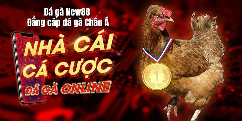 Sòng bạc New88 cung cấp đá gà uy tín